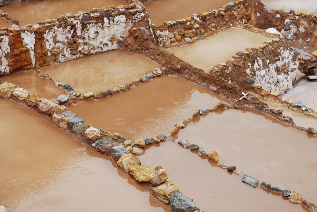 Method of water conservation in a field