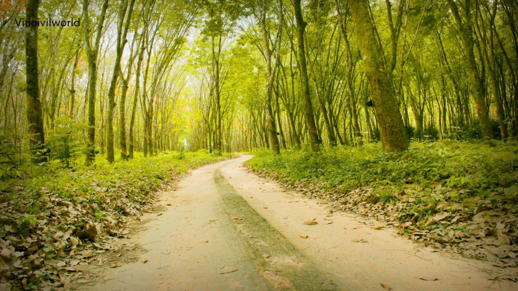 Classification of Roads : Natural Earth Roads