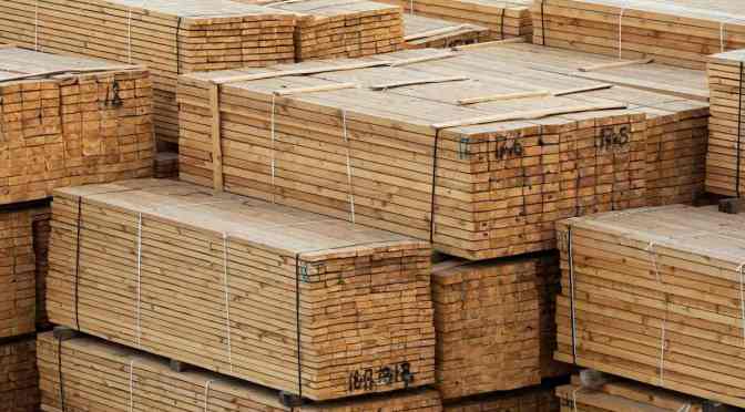 Timber – 5 Important Quality Tests and Procedures.