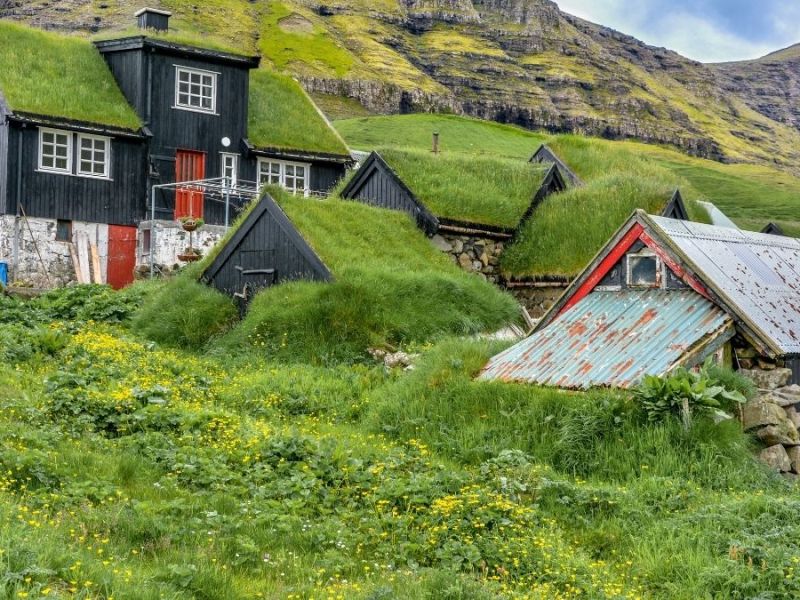 Understanding Green Roof Systems for Sustainable Buildings