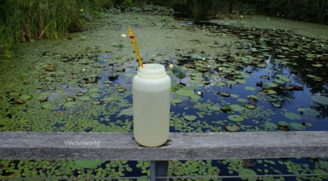 What Biochemical Oxygen Demand (BOD) Measures?