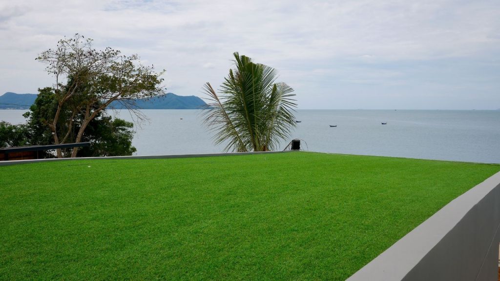 Extensive Green Roof