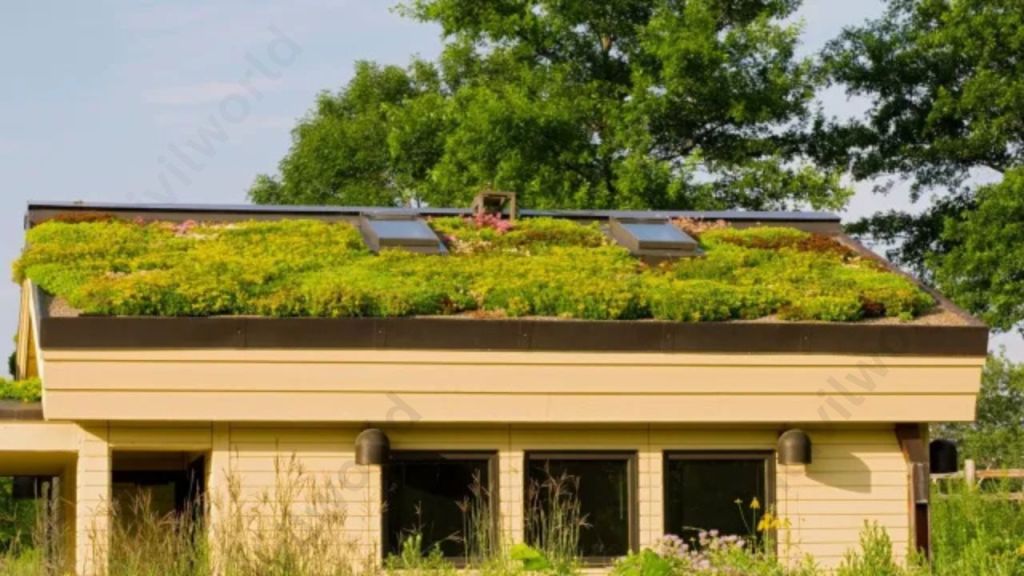 A modern house featuring a green roof with vegetation and solar panels, surrounded by trees and tall grass.