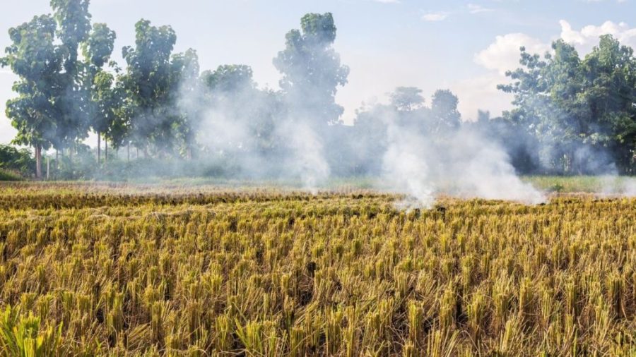 Stubble burn - Reason for air pollution
