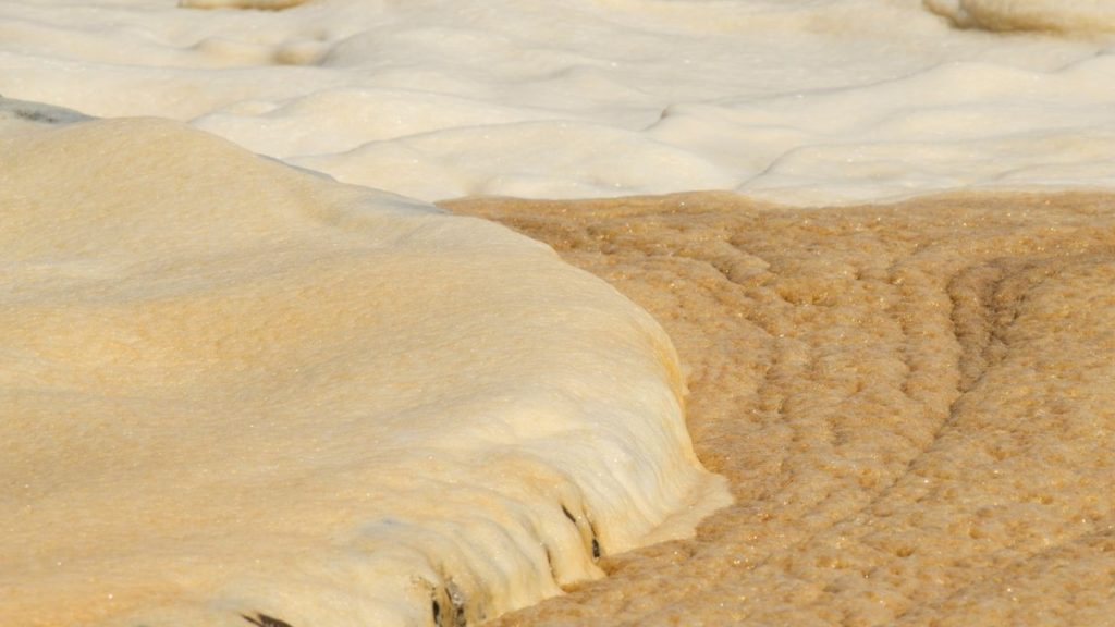 Close-up of foam and sediment in a wastewater treatment process, illustrating the activated sludge process used for organic pollutant removal.