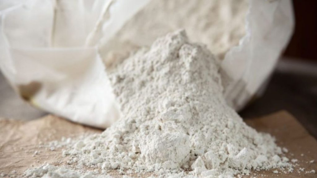 Diatomaceous Earth