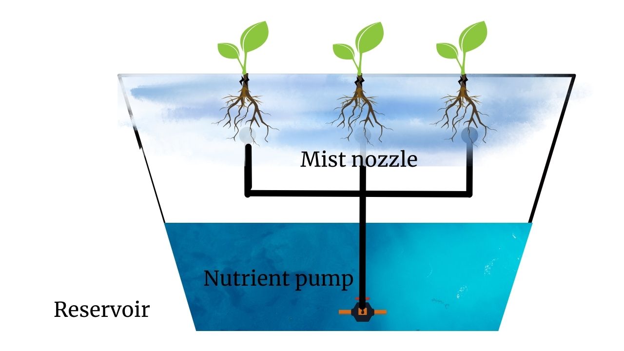 Aeroponic system