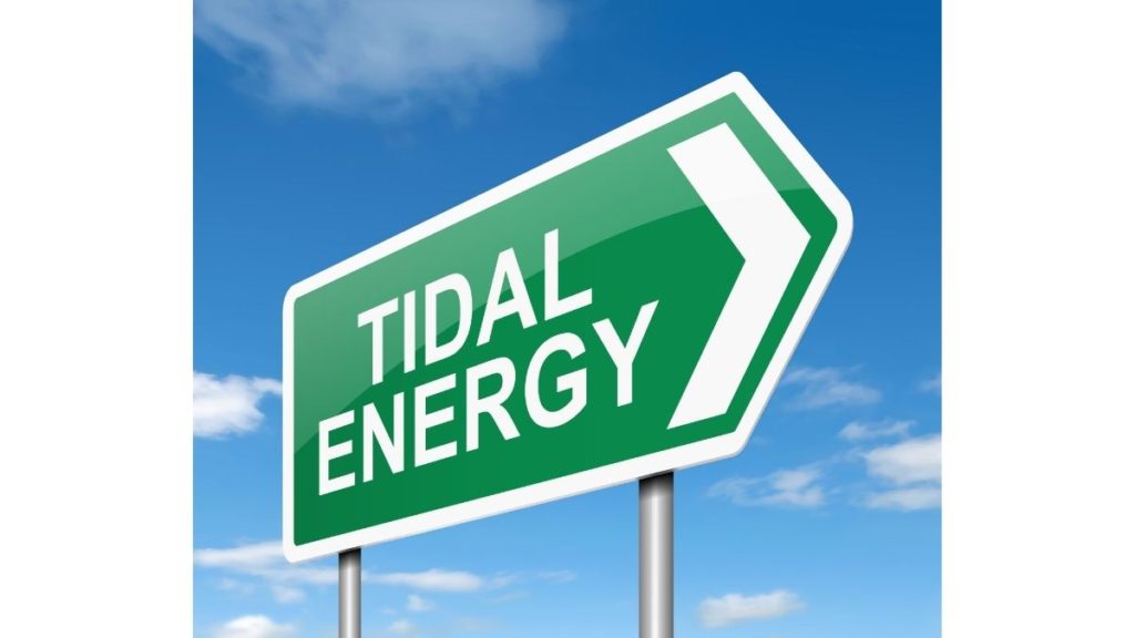 Tidal energy future